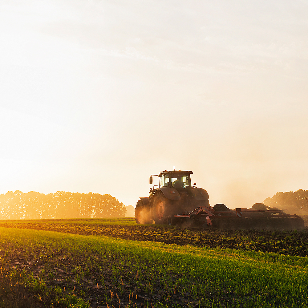 Agriculture Agriculture